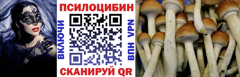 Галлюциногенные грибы Psilocybine cubensis  KRAKEN рабочий сайт  Борисоглебск 