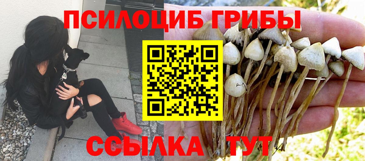 Борисоглебск  Псилоцибиновые грибы Magic Shrooms  Вход с VPN 