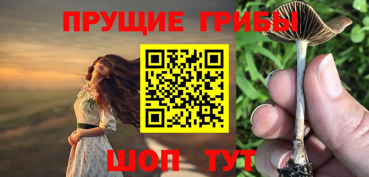 Псилоцибиновые грибы мицелий Борисоглебск