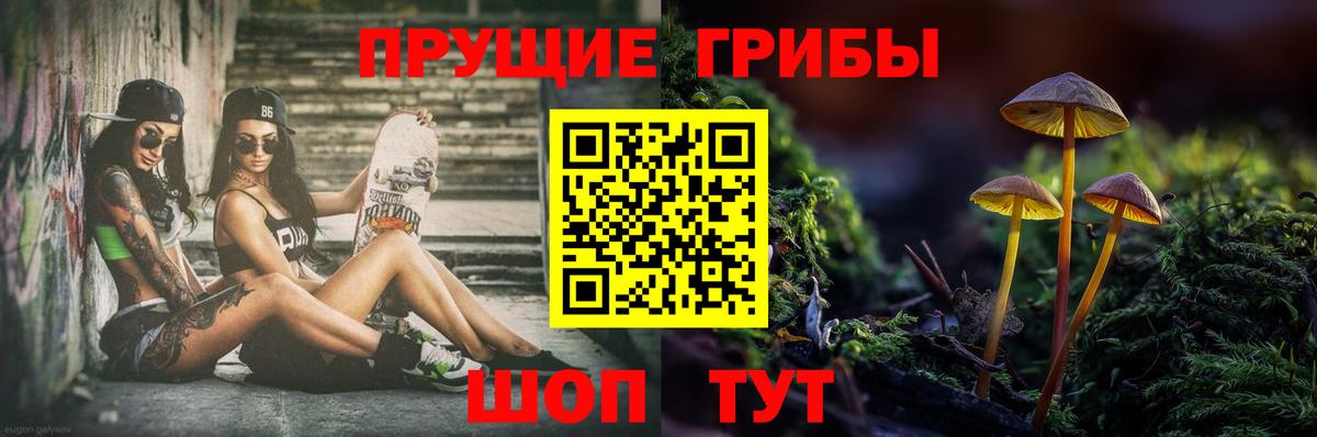 Галлюциногенные грибы Cubensis  Борисоглебск 