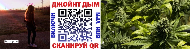 Каннабис гибрид  где найти наркотики  Борисоглебск 